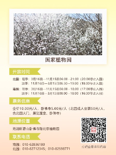 追花指南第六期！杏花雨 楊柳風(fēng) 北京最美的杏花在這里