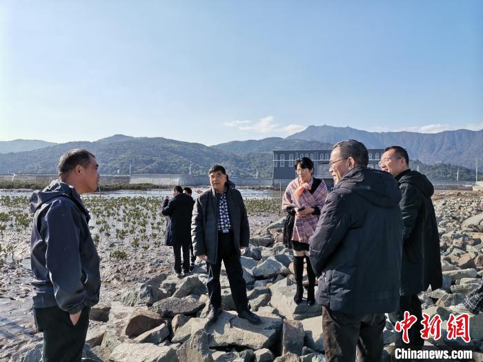 浙江海洋生態(tài)觀察：智慧大腦如何解鎖藍色發(fā)展密碼？