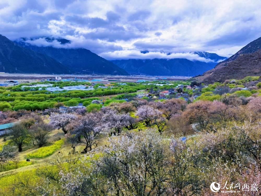 桃花從中的“童話小鎮(zhèn)”。人民網(wǎng) 李海霞攝